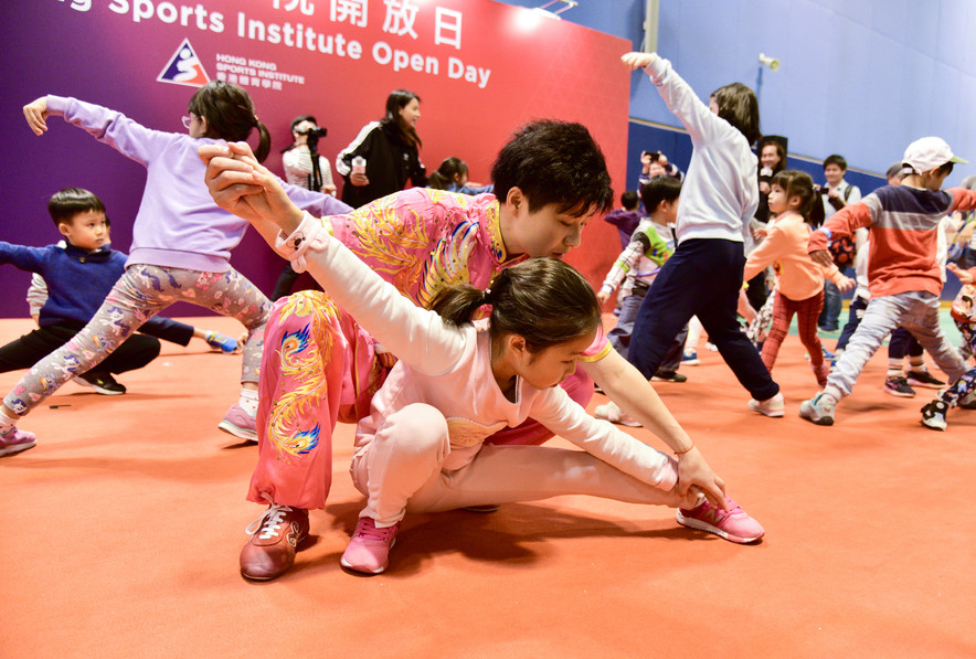 <p>Participants experienced Wushu under the guidance of Wushu athlete Liu Xuxu.</p>
